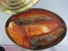 Canned sardine