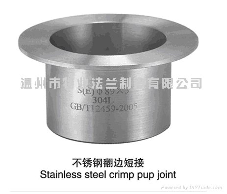 stainless steel flanges 4