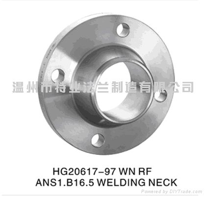 stainless steel flanges 5