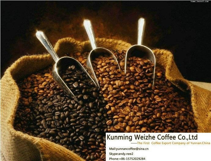 Provide the Better Coffee Beans From China 2