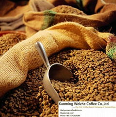 natural Green Coffee Bean From the Largest Coffee Export Company .China