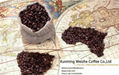 Grade AAA Arabica Coffee Bean 1