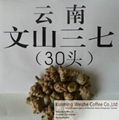  Notoginseng Root Extract Wen shan Radix Notoginseng--account for 90% of globall 3