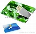 Card USB Flash Drive,U disk,U driver,U flash disk