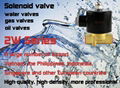 brass body solenoid valve  2