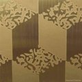 Etched Stainless Steel Plate