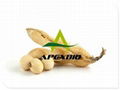 Soybean Extract  1