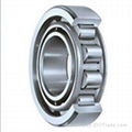 Cylindrical Roller Bearing 2