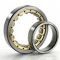 Cylindrical Roller Bearing 1