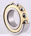 Angular Contact Ball Bearing 1