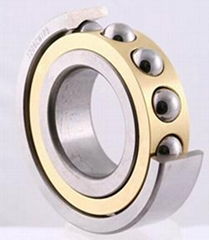 Angular Contact Ball Bearing