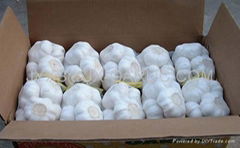 Pure White Garlic 500g/mesh bag, 10kg/carton