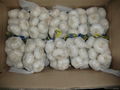 Jiniang Pure White Garlic 500g X20*