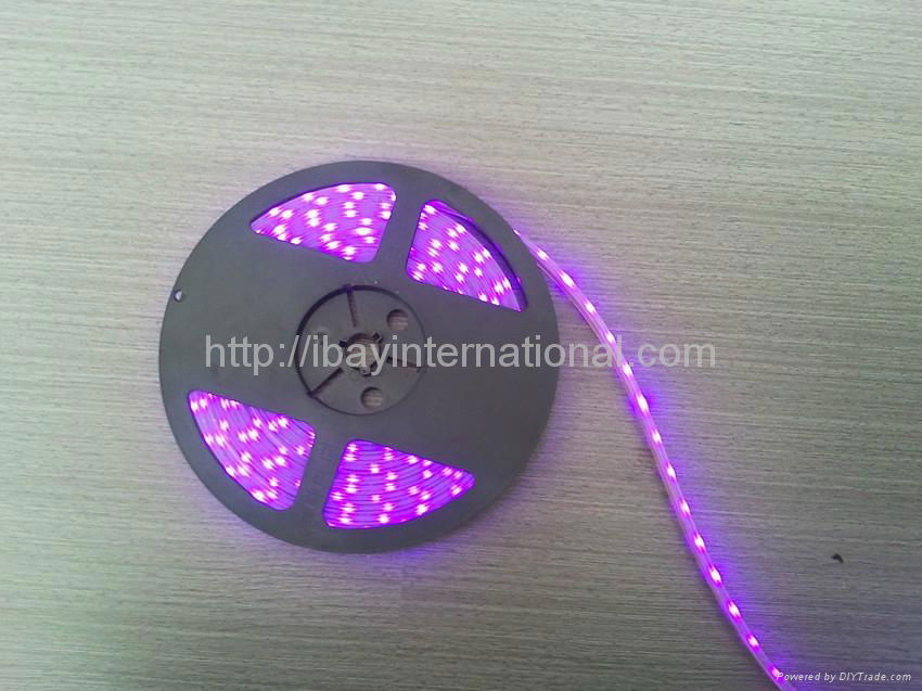 LED STRIP LIGHT