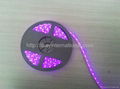 LED STRIP LIGHT 1