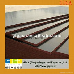 low price and good quality film faced plywood