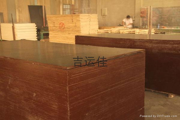 low price and good quality film faced plywood  3