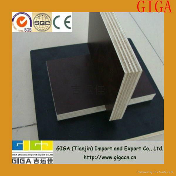 low price for good quality for constrction material ---GIGA film faced plywood