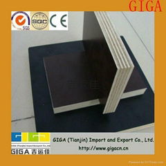 low price for good quality for constrction material ---GIGA film faced plywood