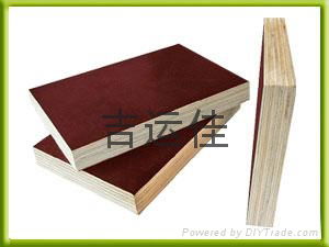 European standard(EN ) shuttering plywood