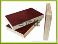 European standard(EN ) shuttering plywood 1