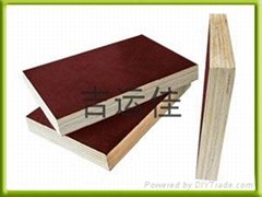 European standard(EN ) shuttering plywood