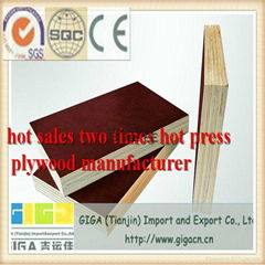 915*1830mm /1220*2440mm plywood Brazil