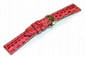 Genuine alligator watch strap 4