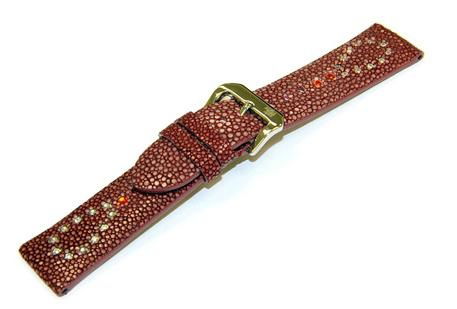 genuine stingray watch strap