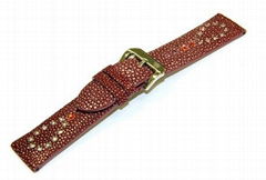 genuine stingray watch strap