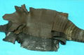 High quality genuine crocodile leather