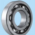 6000 series deep groove ball bearings 1