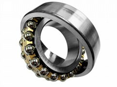 self-aligning ball bearing