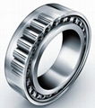 full cylindrical roller bearing CJZ brand