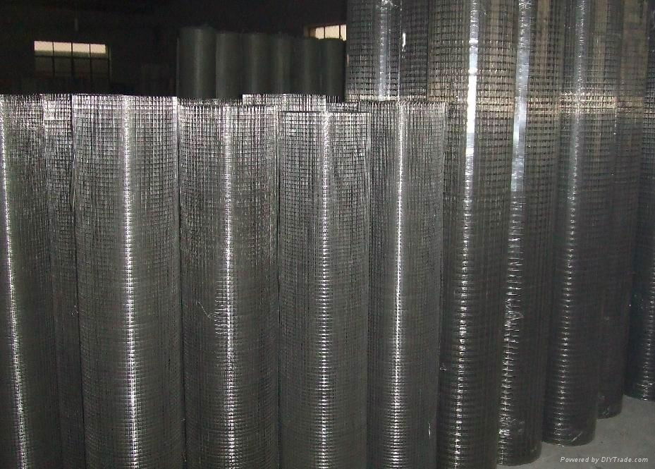 Stainless Steel Wire Mesh/Plain Weave and Dutch Weave 5