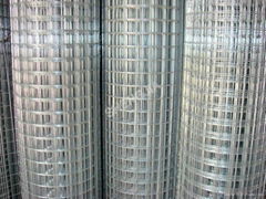 Specialized Galvanized Welded Wire Mesh