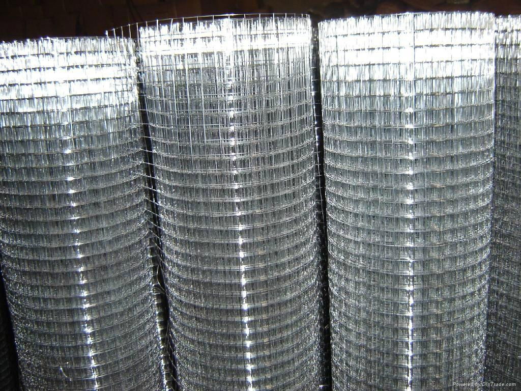 Specialized Galvanized Welded Wire Mesh 3