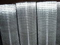 Specialized Galvanized Welded Wire Mesh 3