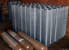 G.I Welded wire mesh factory-2012 UAE