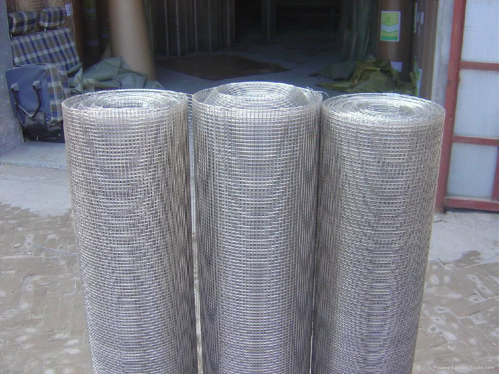 G.I Welded wire mesh factory-2012 UAE 2