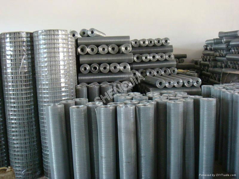 G.I Welded wire mesh factory-2012 UAE 4