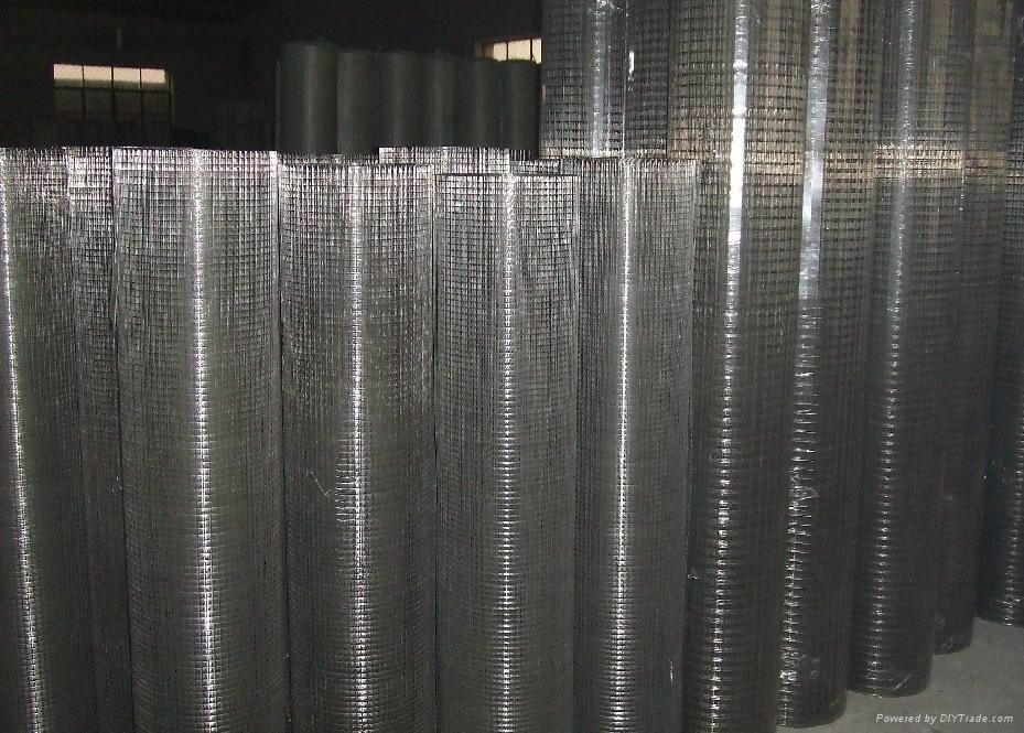 100% factory Stainless Steel Wire Mesh 3