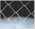 chain link fence 5