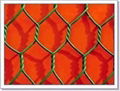 hexagonal wire mesh 2