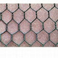 hexagonal wire mesh 3