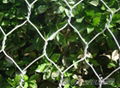 hexagonal wire mesh 5