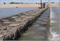 gabion mesh  3