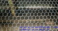 hexagonal wire netting