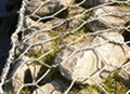 hexagonal wire netting 3