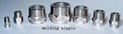 stainless steel welding nipple